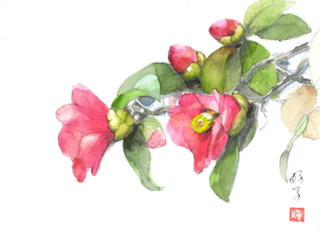 志村好子「椿」5・水彩（画寸128×185・額寸318×410mm）