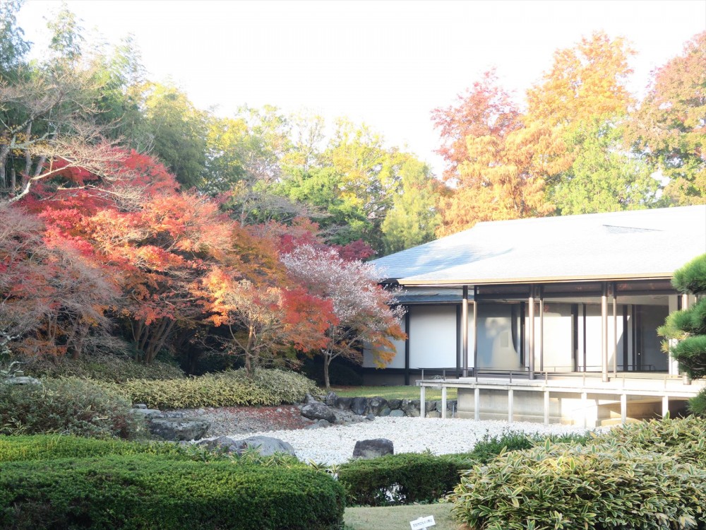 倭姫文化の森 紅葉もピーク｜お知らせ・最新情報｜神宮の博物館