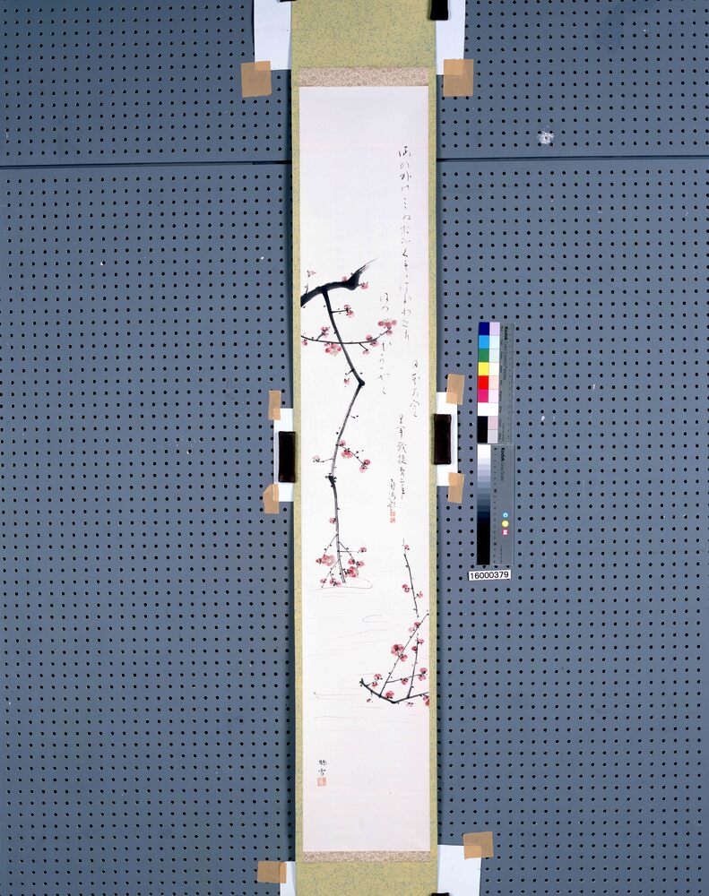 水くぐりの梅図 | ToMuCo - Tokyo Museum Collection