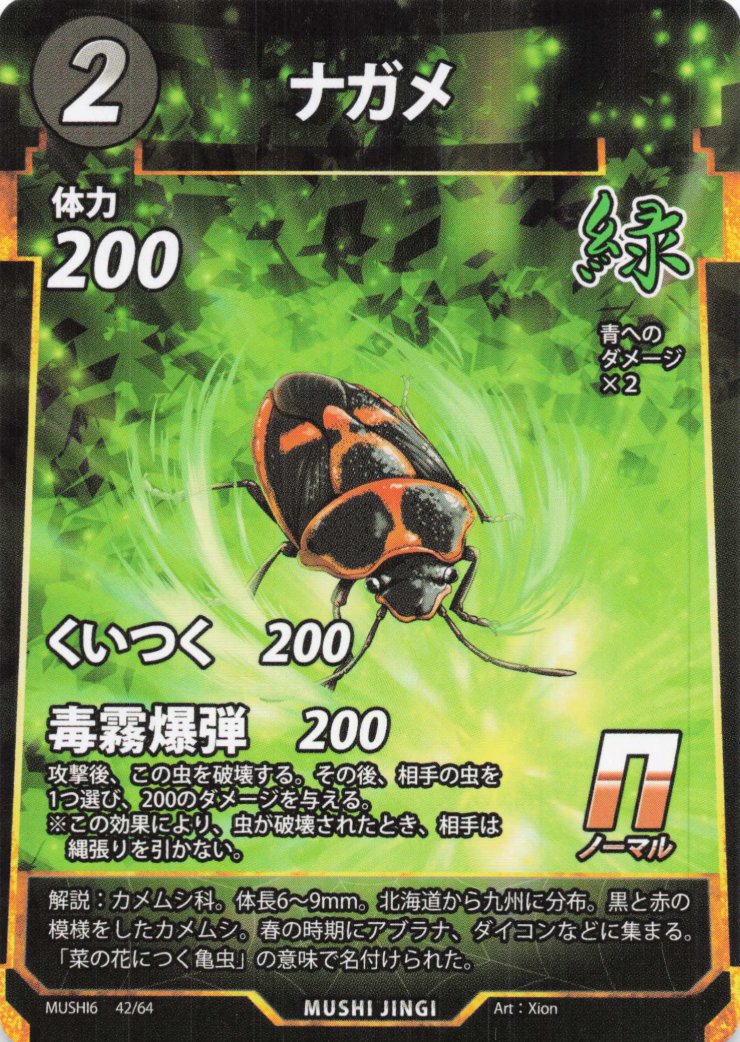 蟲神器】ナガメ(N)の詳細【昆虫カード図鑑】