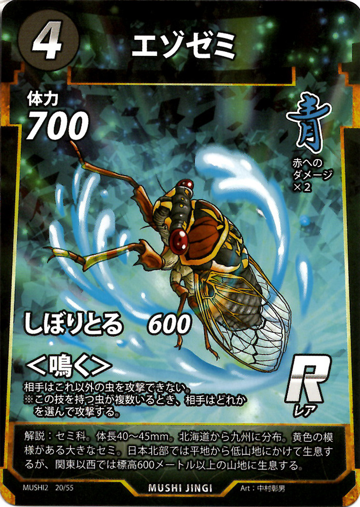 蟲神器】エゾゼミ(R)の詳細【昆虫カード図鑑】
