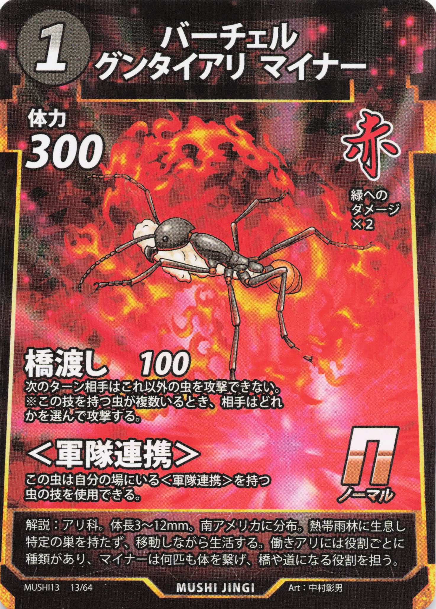 蟲神器】バーチェルグンタイアリ マイナー(N)の詳細【昆虫カード図鑑】