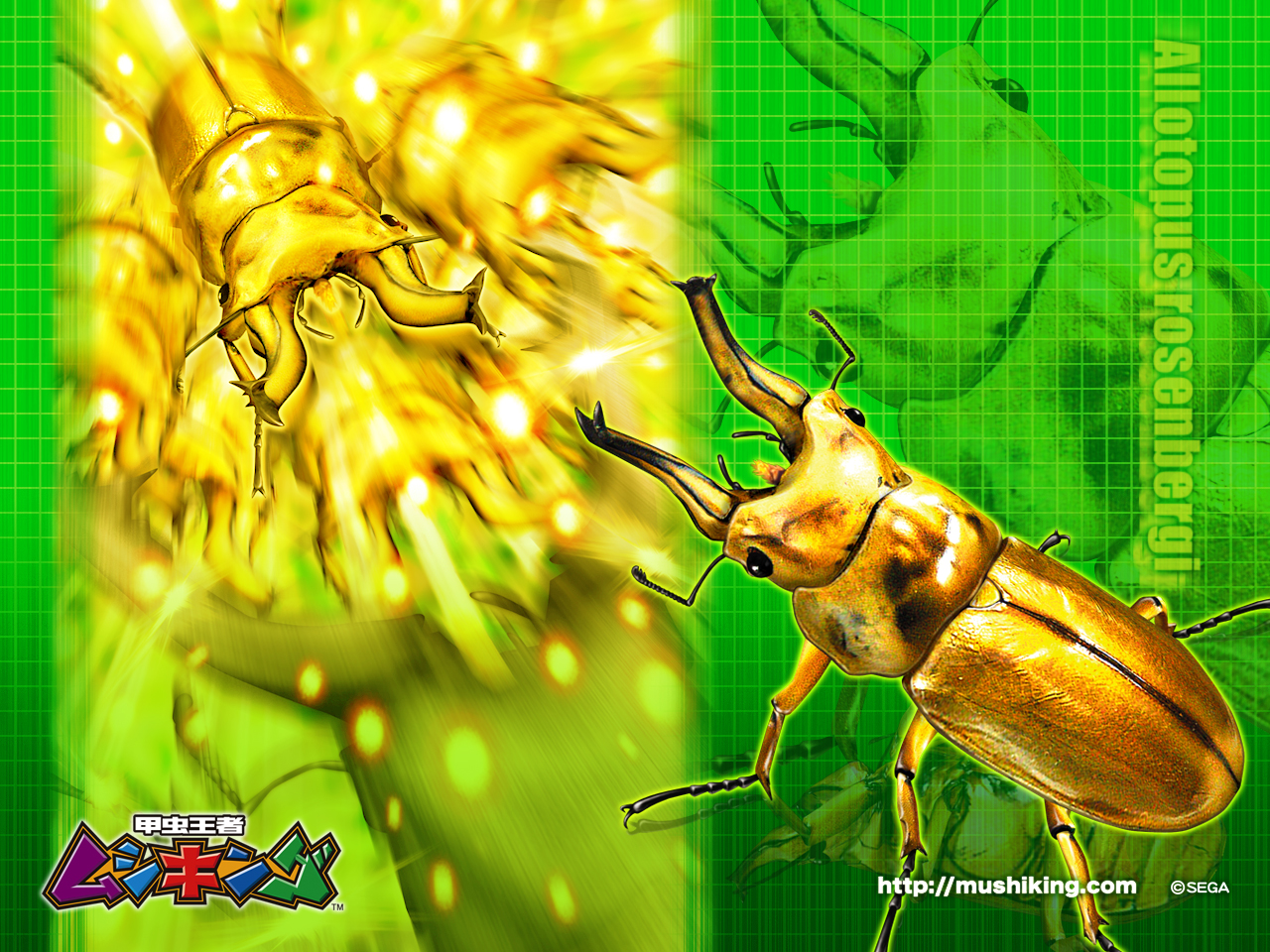 甲虫王者ムシキング 公式ホームページ ダウンロード