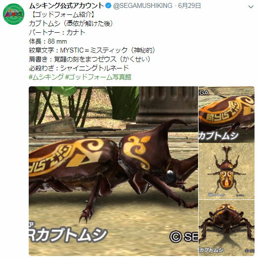 夏限定のカード！SGRオウゴンオニクワガタ！5章解禁など…盛りだくさん