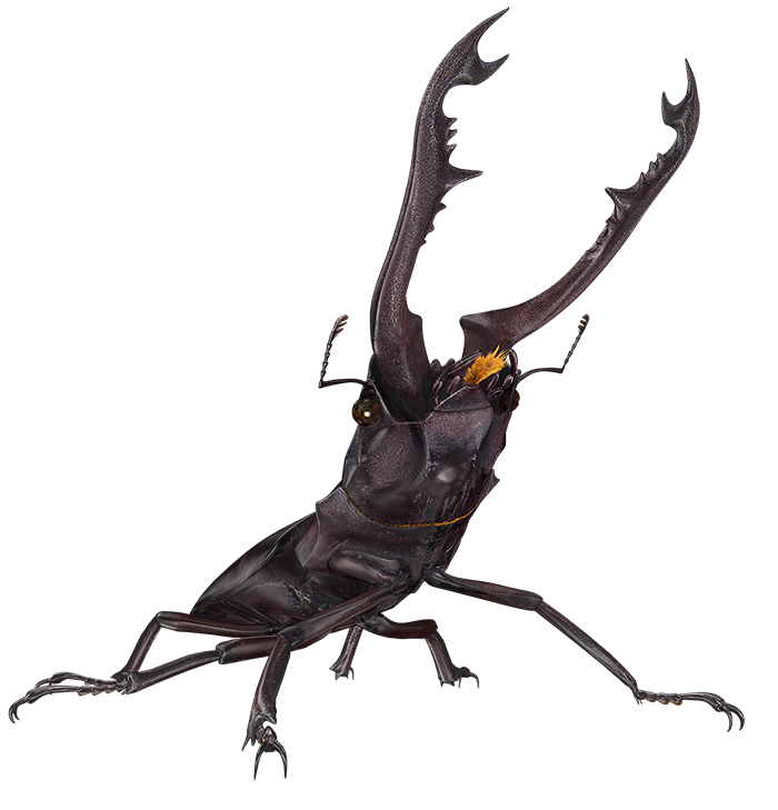 激闘第3回：新イベントと超オトクアイテム情報！｜ムシキング研究所