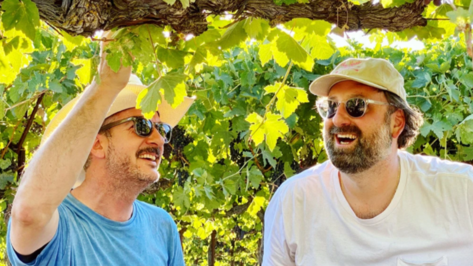 Old Vine Rosé | Las Jaras | MYSA Natural Wine