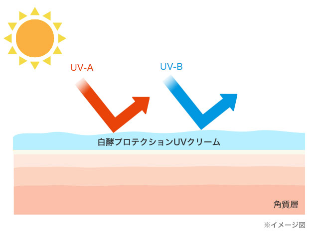白酵プロテクションUVクリーム | [公式]ナチュラルガーデン