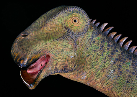 ニジェールサウルスの特徴｜大きさや体重、餌、生息地、強さなど解説