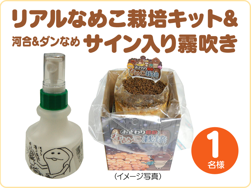 ニュース | なめこ栽培キット HD / なめこ栽培キットSeasons HD