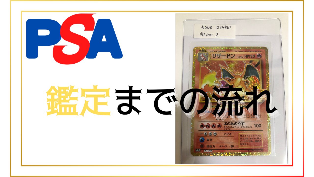PSAに初めて出した！大まかな流れを紹介します | ポケカってこんなにも