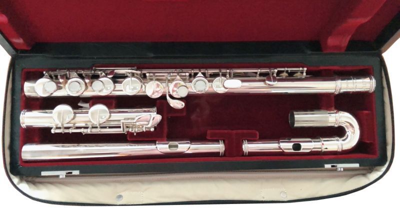 特注 頭部管U字型＆ストレート共用サイズ C管 アルトフルートケース