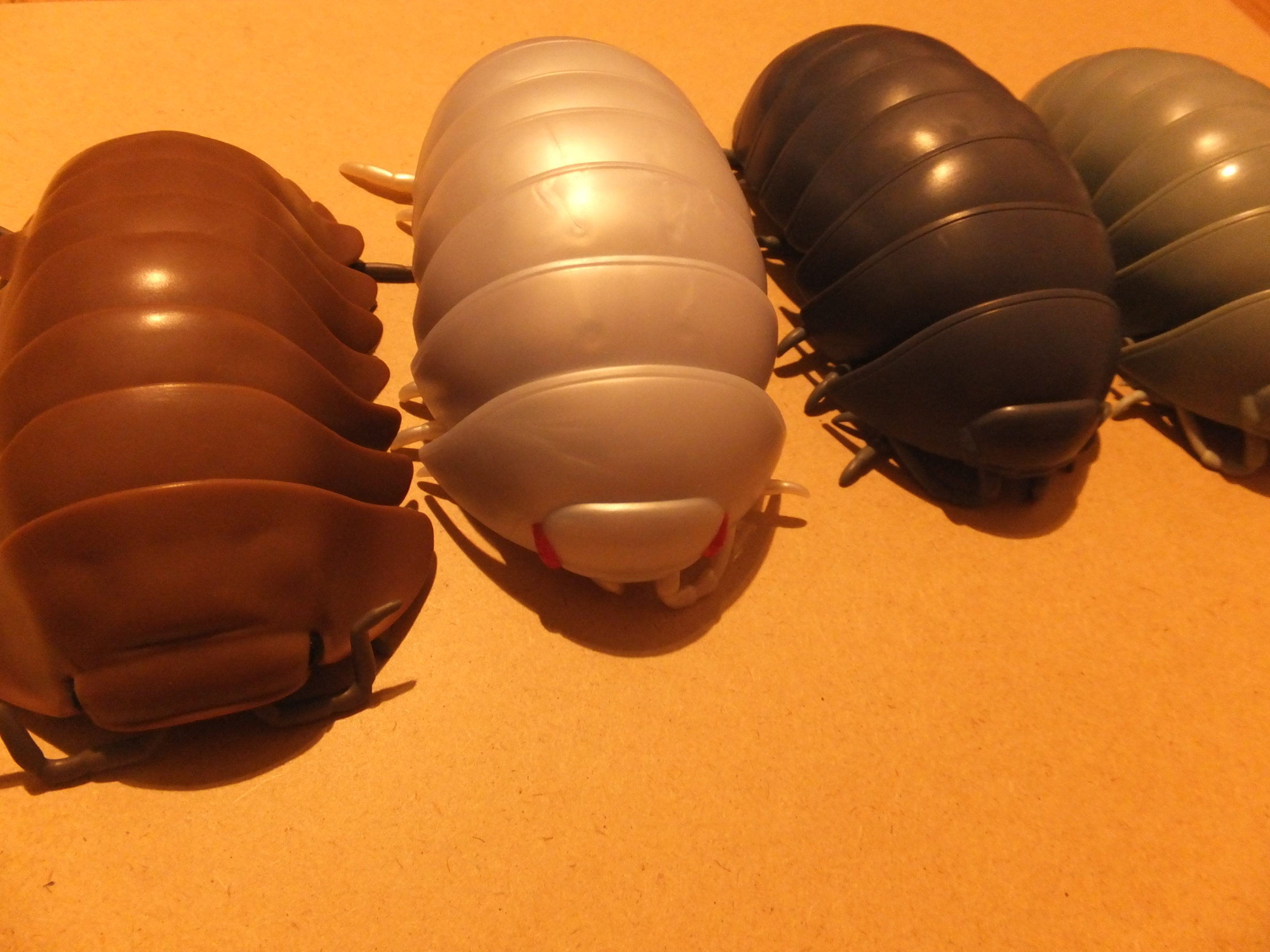 メタリックだんごむし02が届いたのでレビューします！ | なきぶろぐ