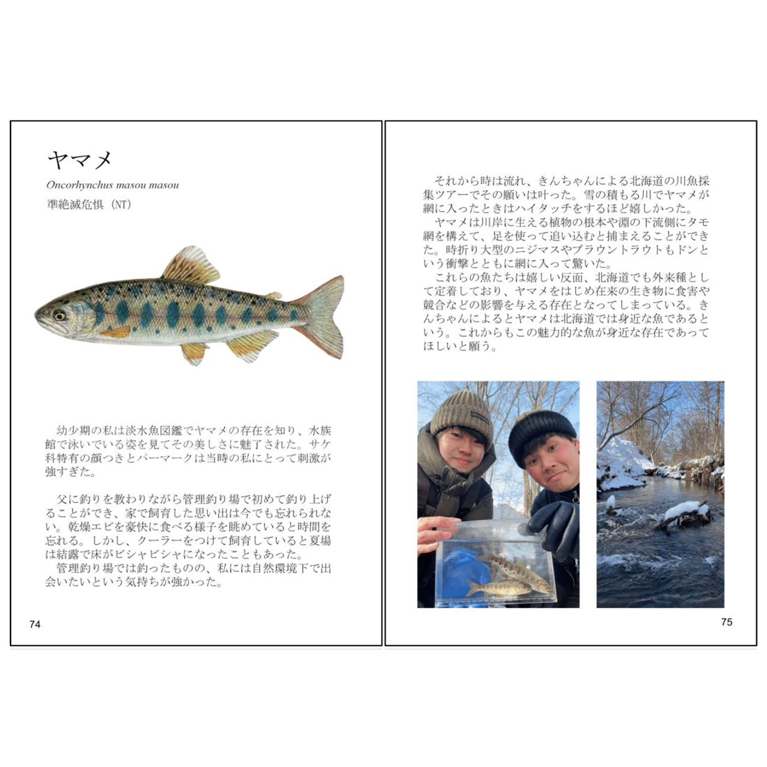 未来に残したい日本の川魚 第一章【sakanazuki】 – Nature Clips