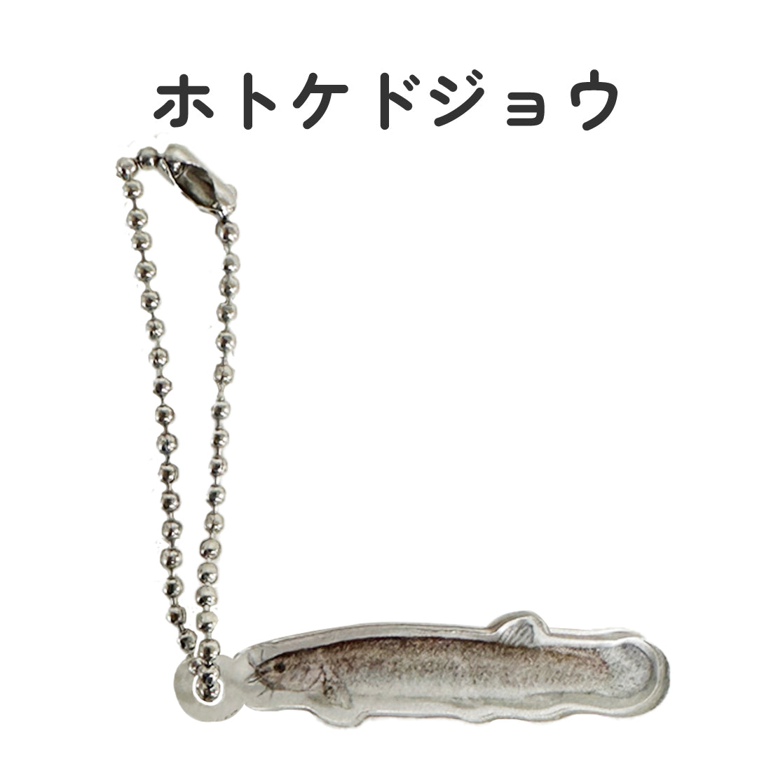 日淡キーホルダーミニ 【sakanazuki】 – Nature Clips Online Store