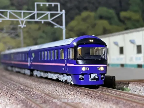 485系 お座敷列車「華」TG02編成（高崎車両センター）を弄る。DENSHA