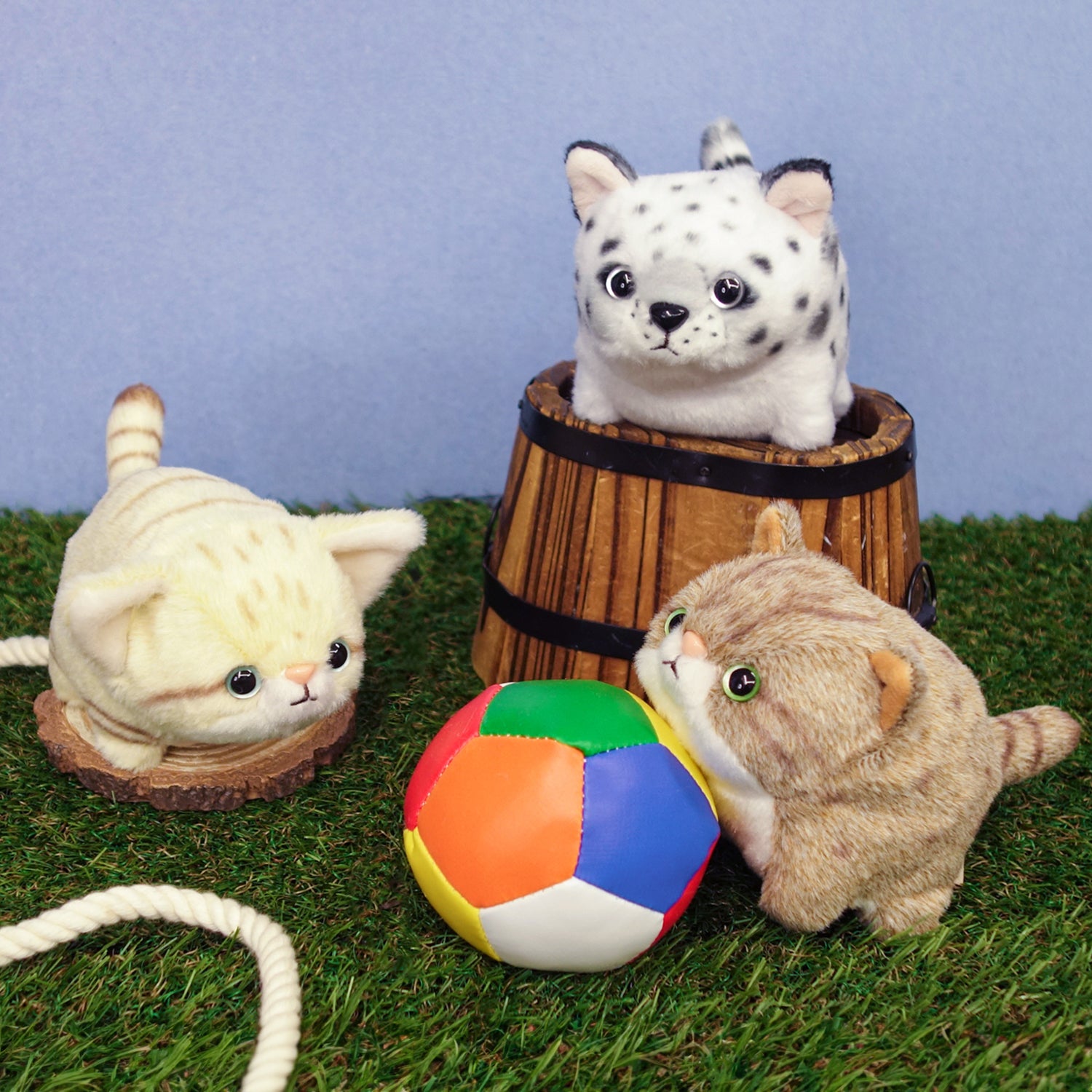 ぽちゃまる – nipopo