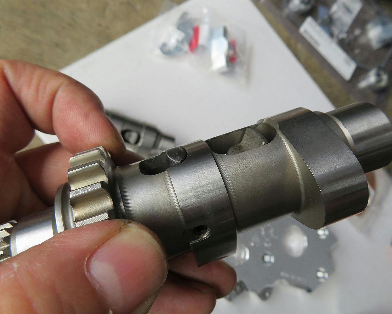 L020310_2.jpg?ver=1696903934