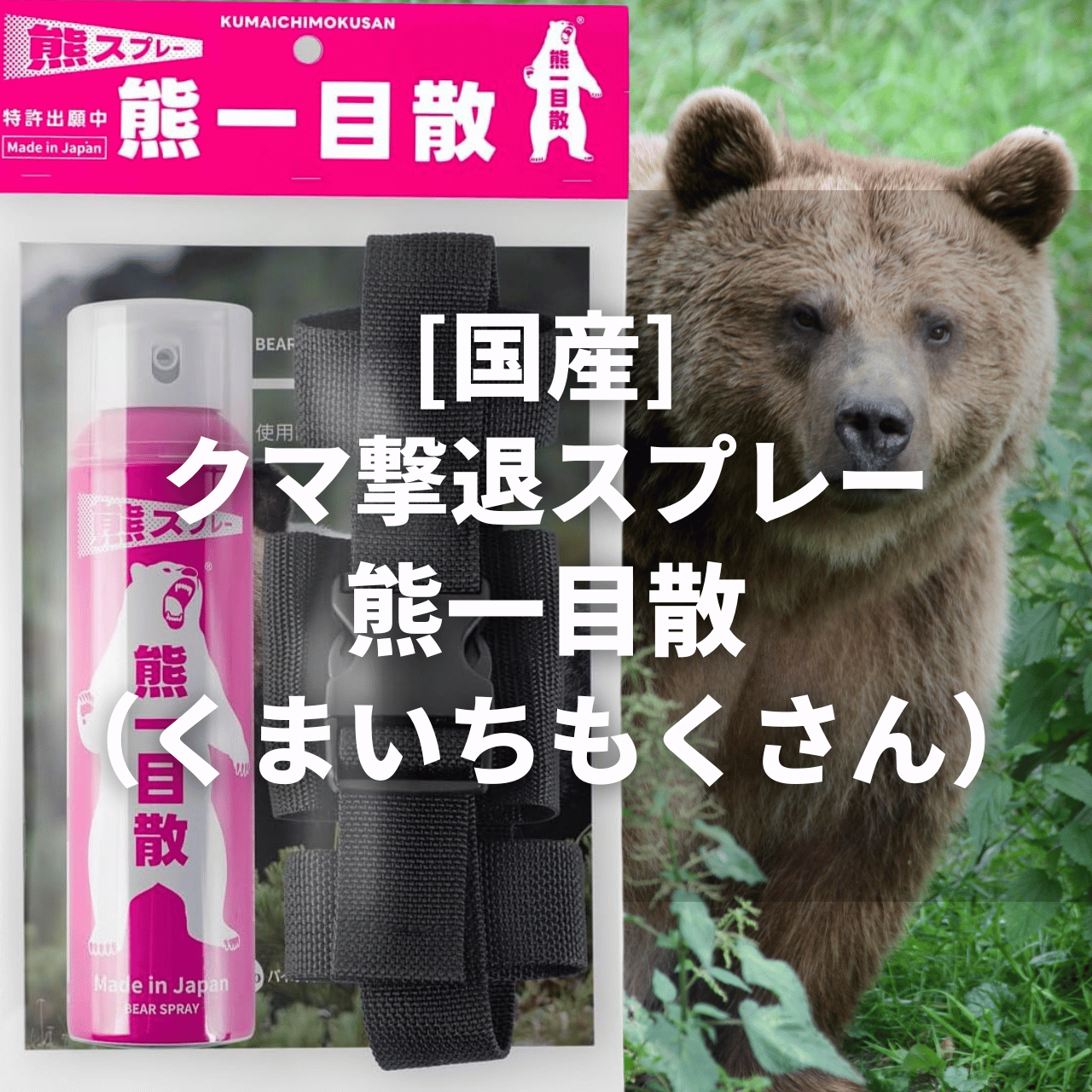 熊一目散(バイオ科学)の特徴とamazon等の購入・実売価格は？｜国産熊