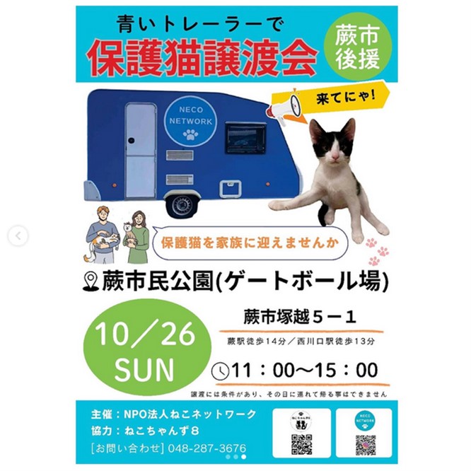 蕨市で初の保護猫譲渡会｜市民公園で地域とつながる一歩