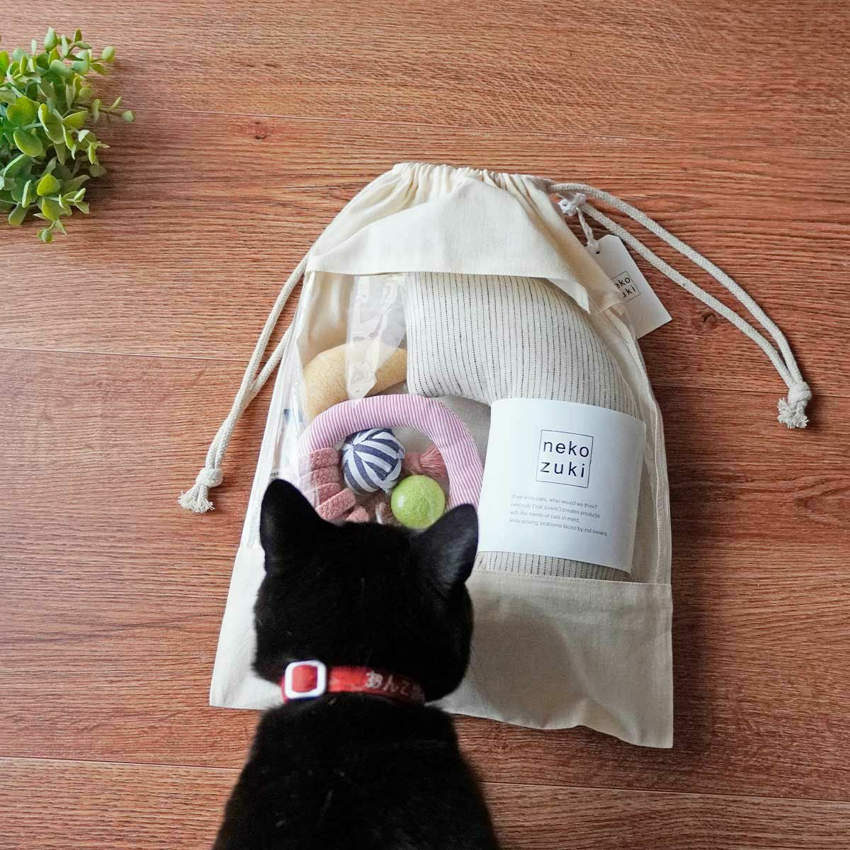 人気の日本製猫おもちゃ5点セット。遊び比べやギフトにおすすめ