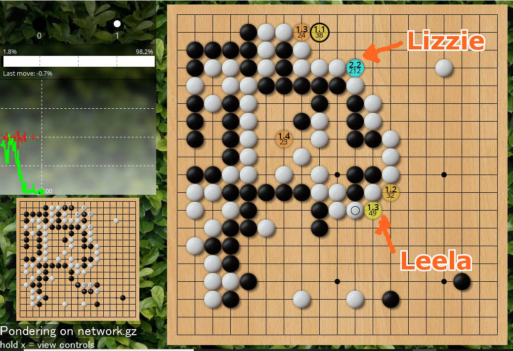 囲碁AI『Lizzie（Leela Zero搭載）』で野狐囲碁の棋譜を検討する方法