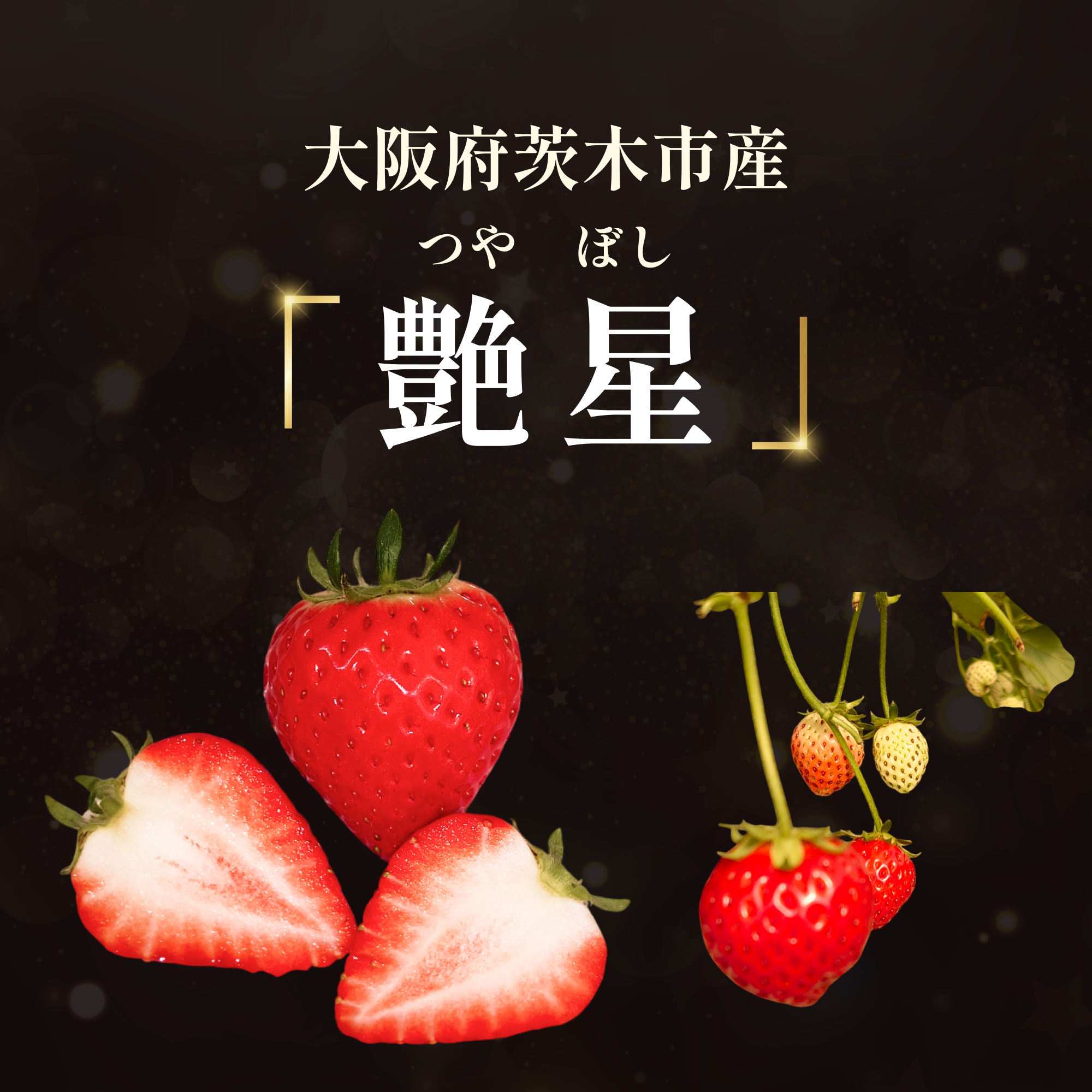 Net Super V – Grow-up Farm