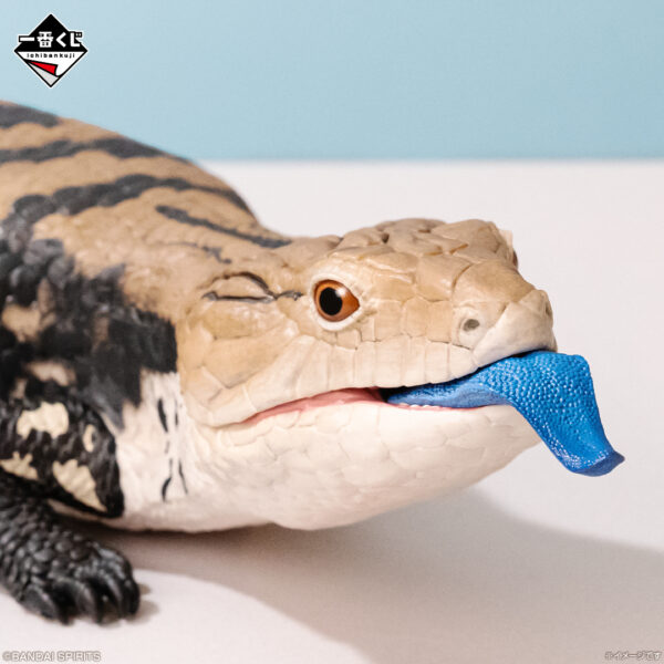 爬虫類＆両生類」だけの一番くじ第2弾が7月25日より発売