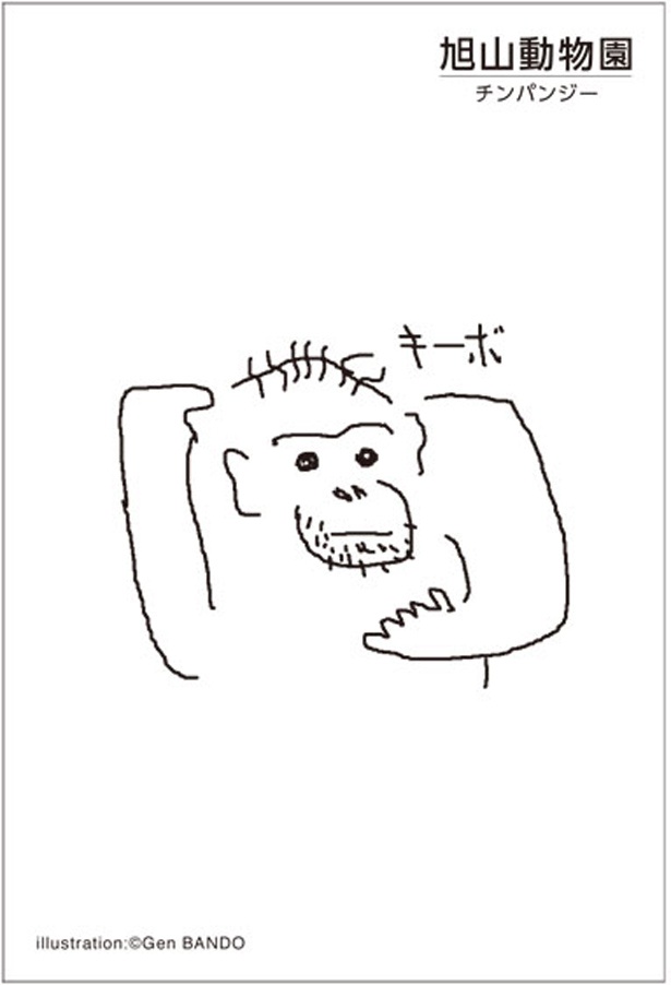 旭山動物園の開園50周年記念グッズ！ 書籍、Tシャツ、アレを使った