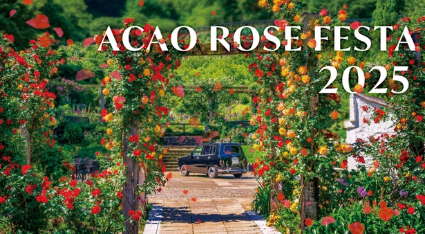 熱海がバラに染まる春、600種・4000株が咲き誇る「ACAO ROSE FESTA