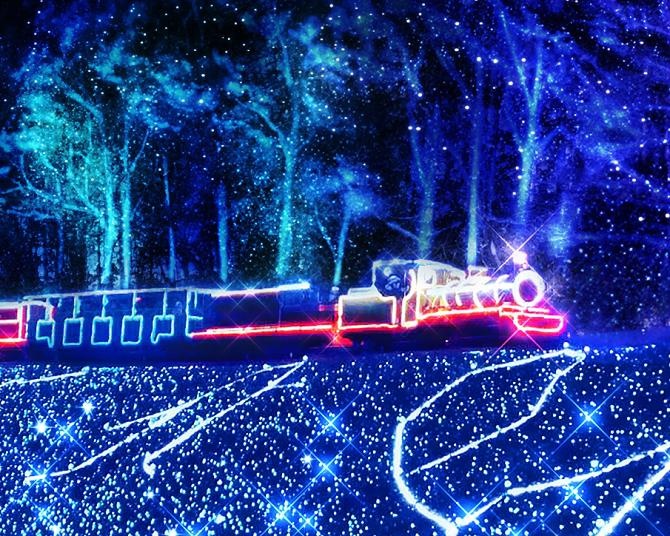 伊豆最大級の体感型イルミ「虹の郷サンクスイルミ」の2024年は輝く光に