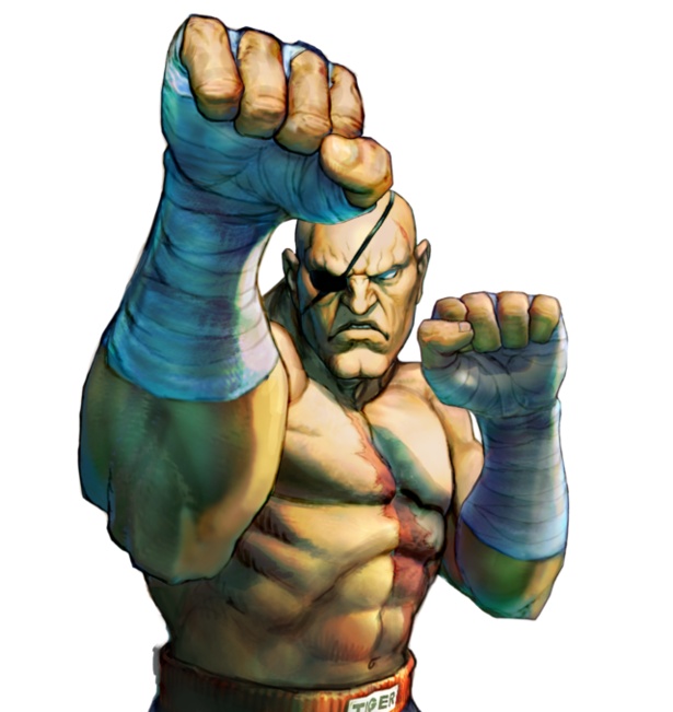 佐賀県が「ストリートファイターII」とコラボレーション!?サガットが