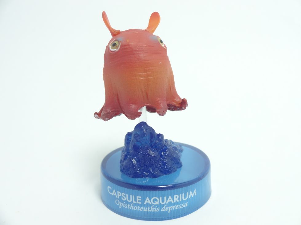 日本水族館立体生物図録4