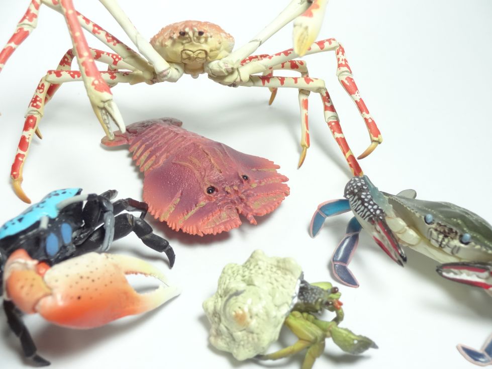 原色甲殻類エビ・カニ図鑑1改訂増補版