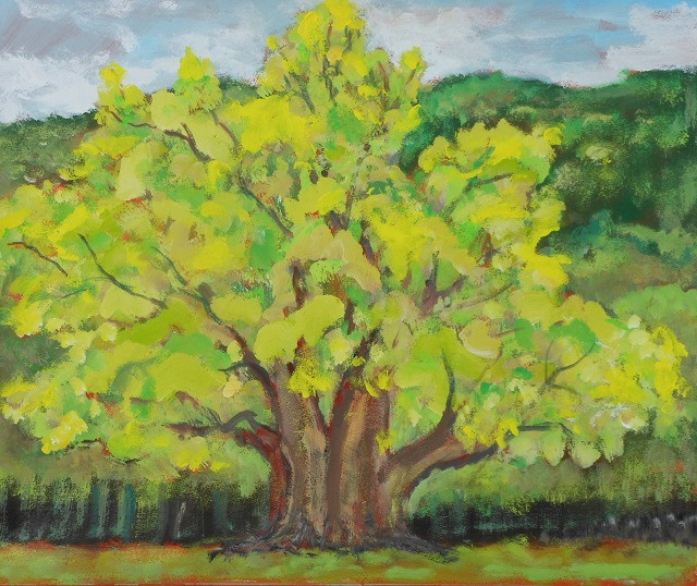 スケッチ会｜奈良市｜奈良公園｜2019年5月｜風景画・作品 | 日曜画家協会