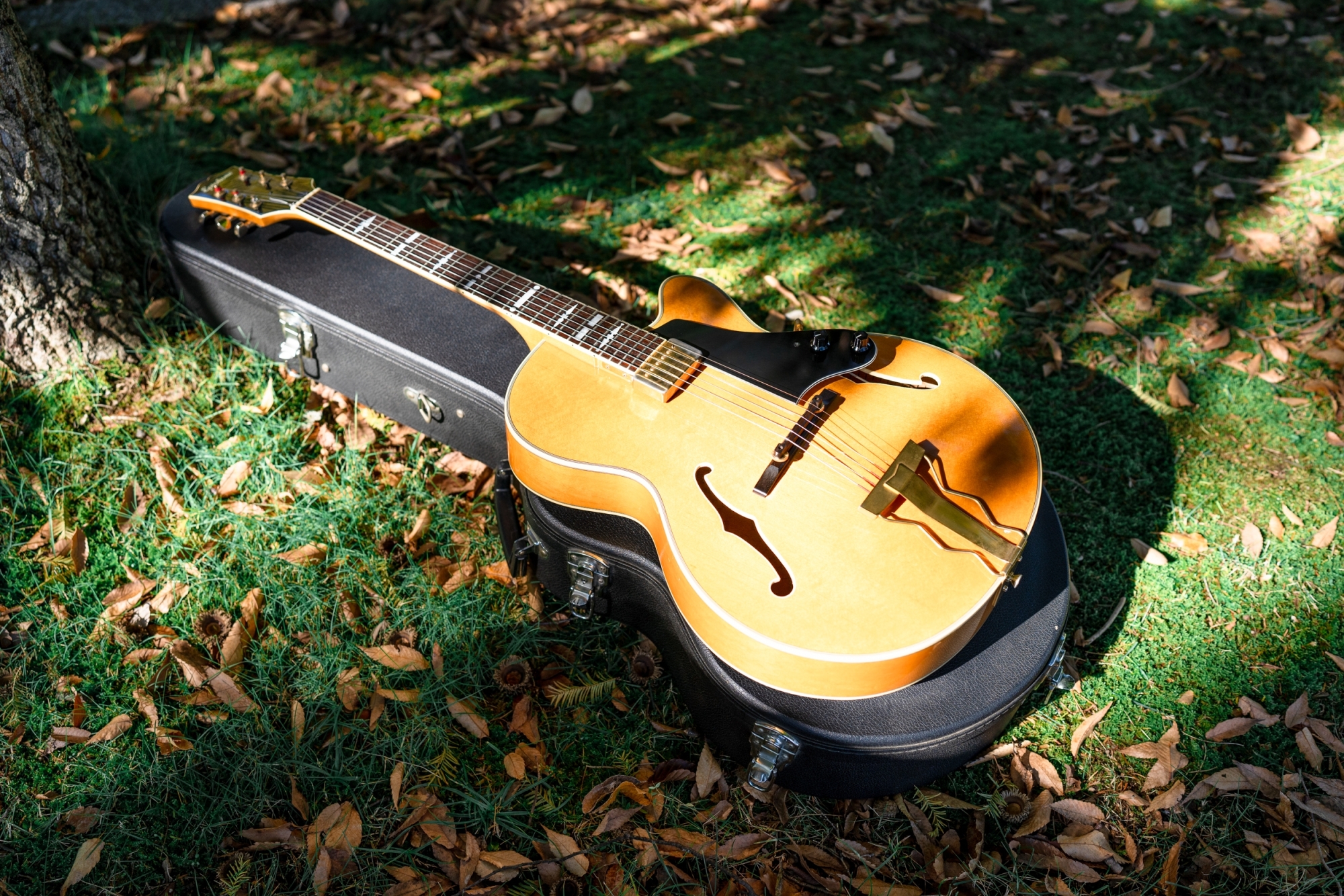 Epiphone NVJ-NT / Gibson | 売ります | 【血となり肉となるジャズ