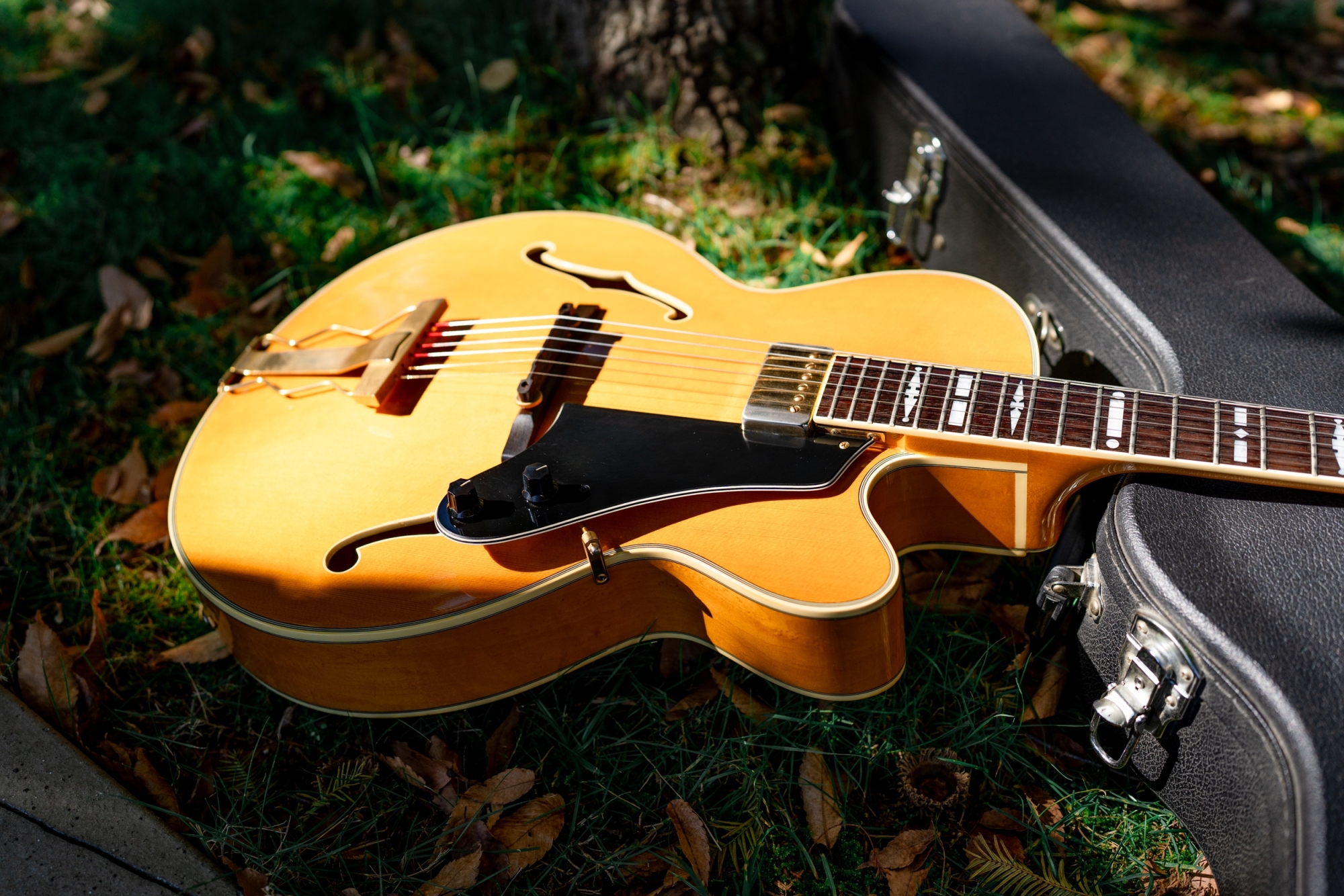 Epiphone NVJ-NT / Gibson | 売ります | 【血となり肉となるジャズ