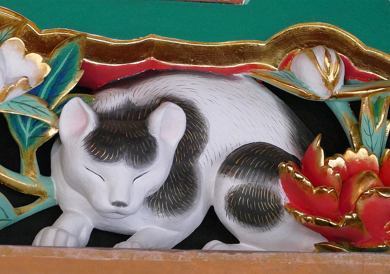 日光東照宮動物園 (18) 眠り猫