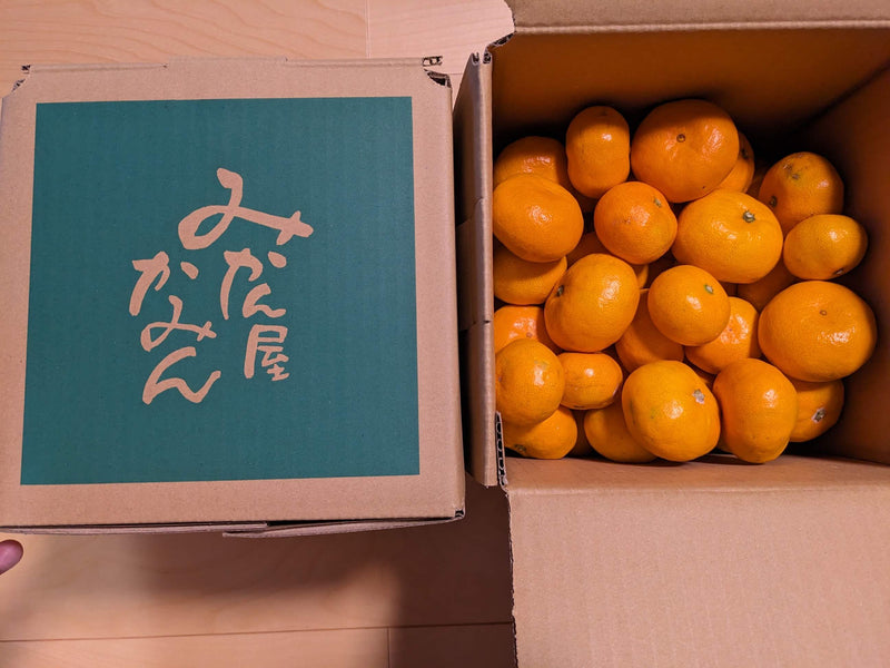 みかん 【みかん屋かみん】4kg サイズ不揃い 家庭用 静岡県浜松市 《11