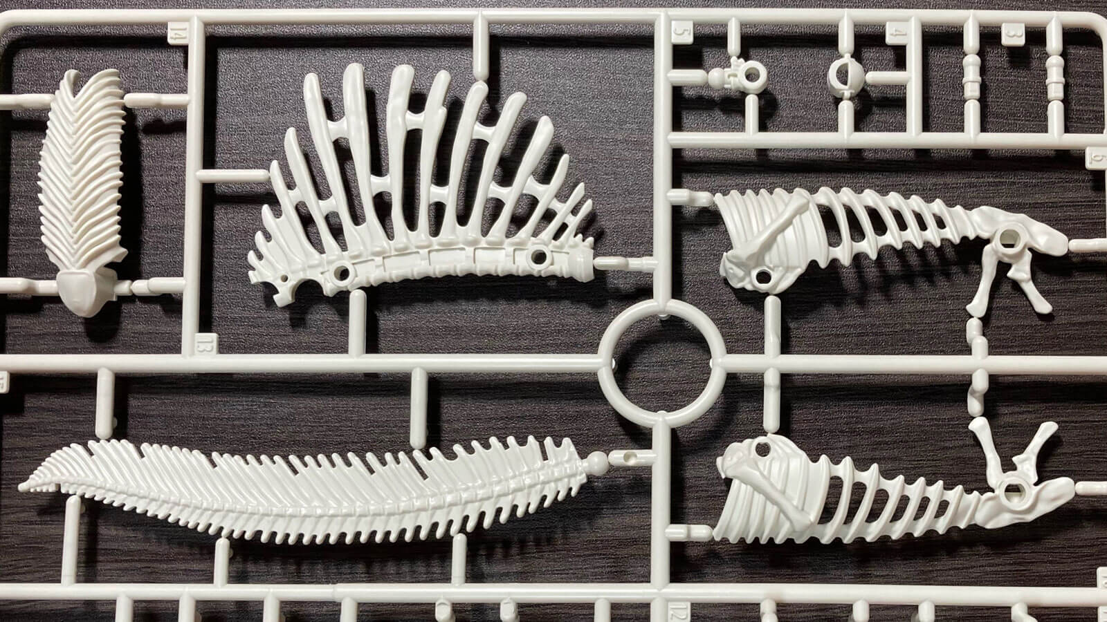 君たちはどうスピるか／スピノサウルスにまつわる「諸説あります」の