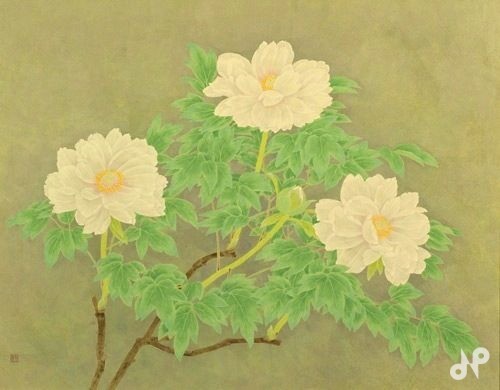 牡丹 - 公益社団法人日展