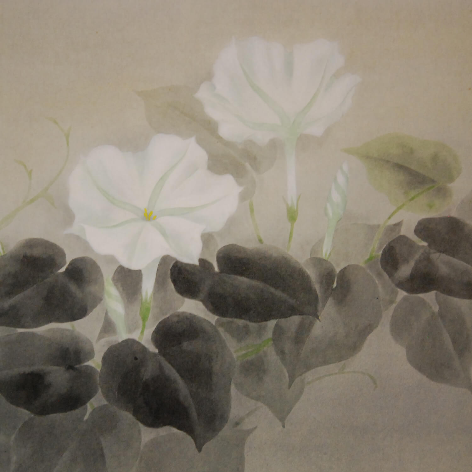 水越由喜 / 夕顔 | 掛軸 - 野村美術