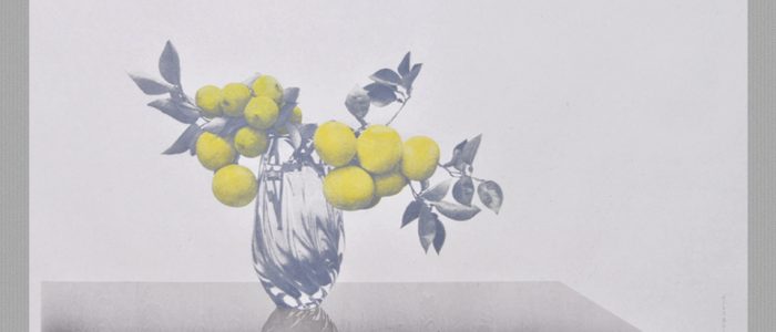 野田哲也 版画家 公認サイト | Tetsuya Noda.