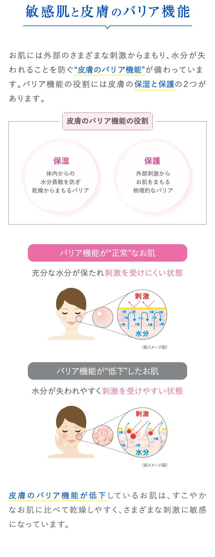 ノブ Ⅲ フェイスローション R」「ノブ Ⅲ ミルキィローション」「ノブ