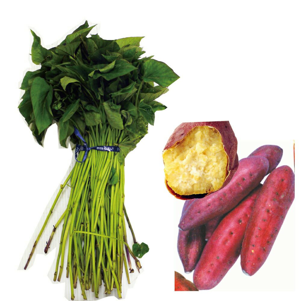 ブロッコリー 種 【 おはよう 】 ペレット5000粒 | 農業屋.com