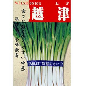 000000019967-01.jpg?size=l&w=