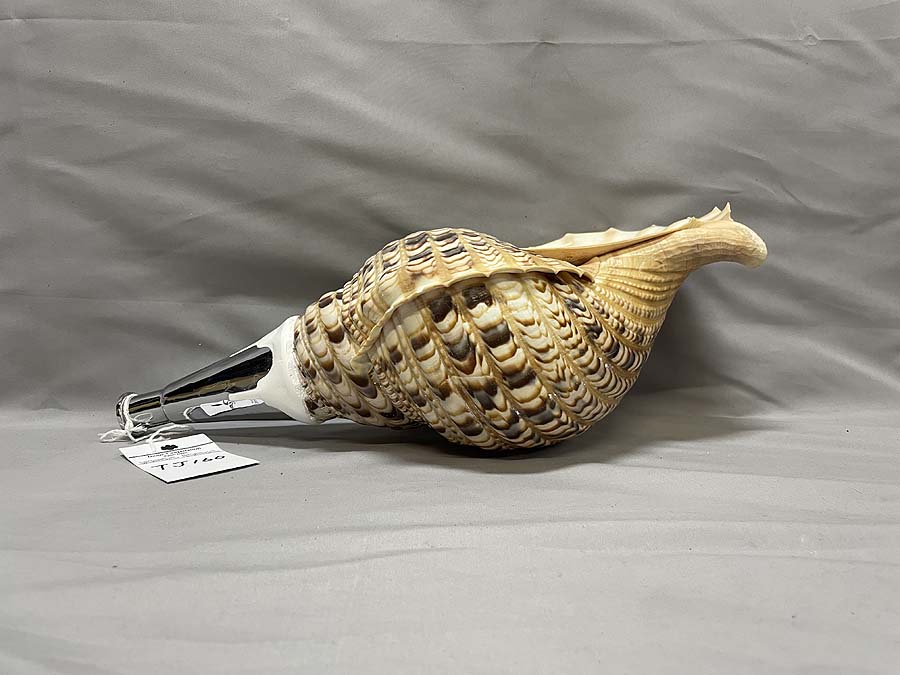 法螺貝（ほら貝）、歌口（吹き口）付 制作、販売、修理、特価在庫