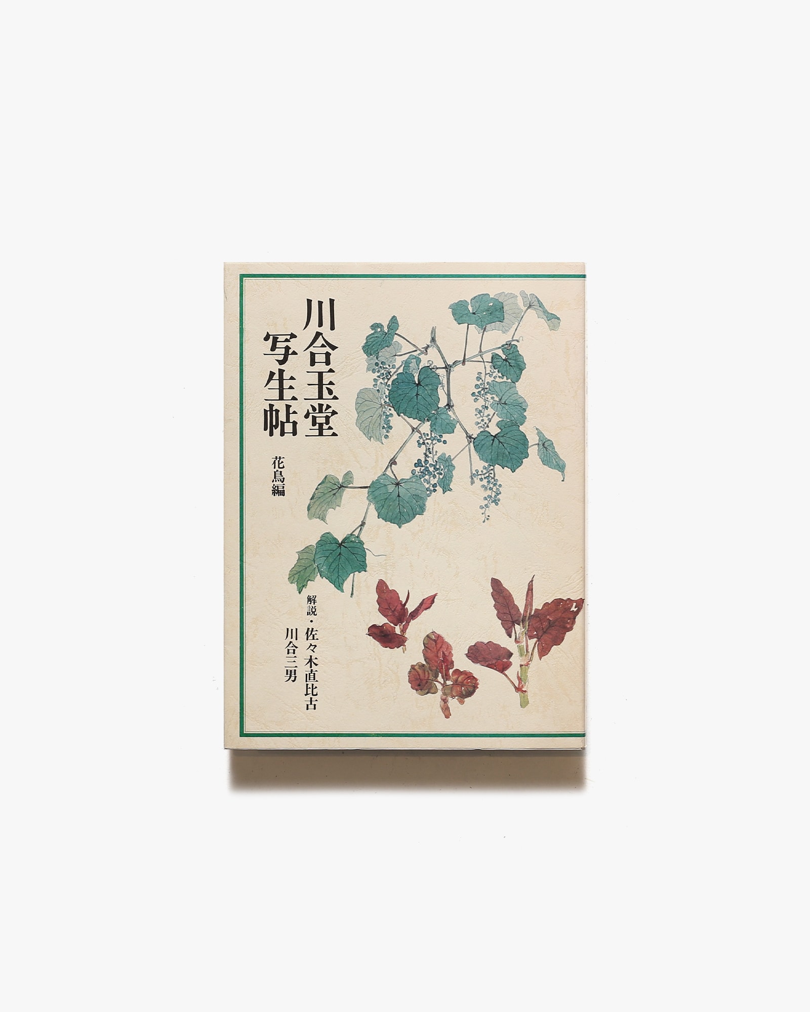 川合玉堂写生帖 花鳥編 | グラフィック社 | nostos books ノストスブックス