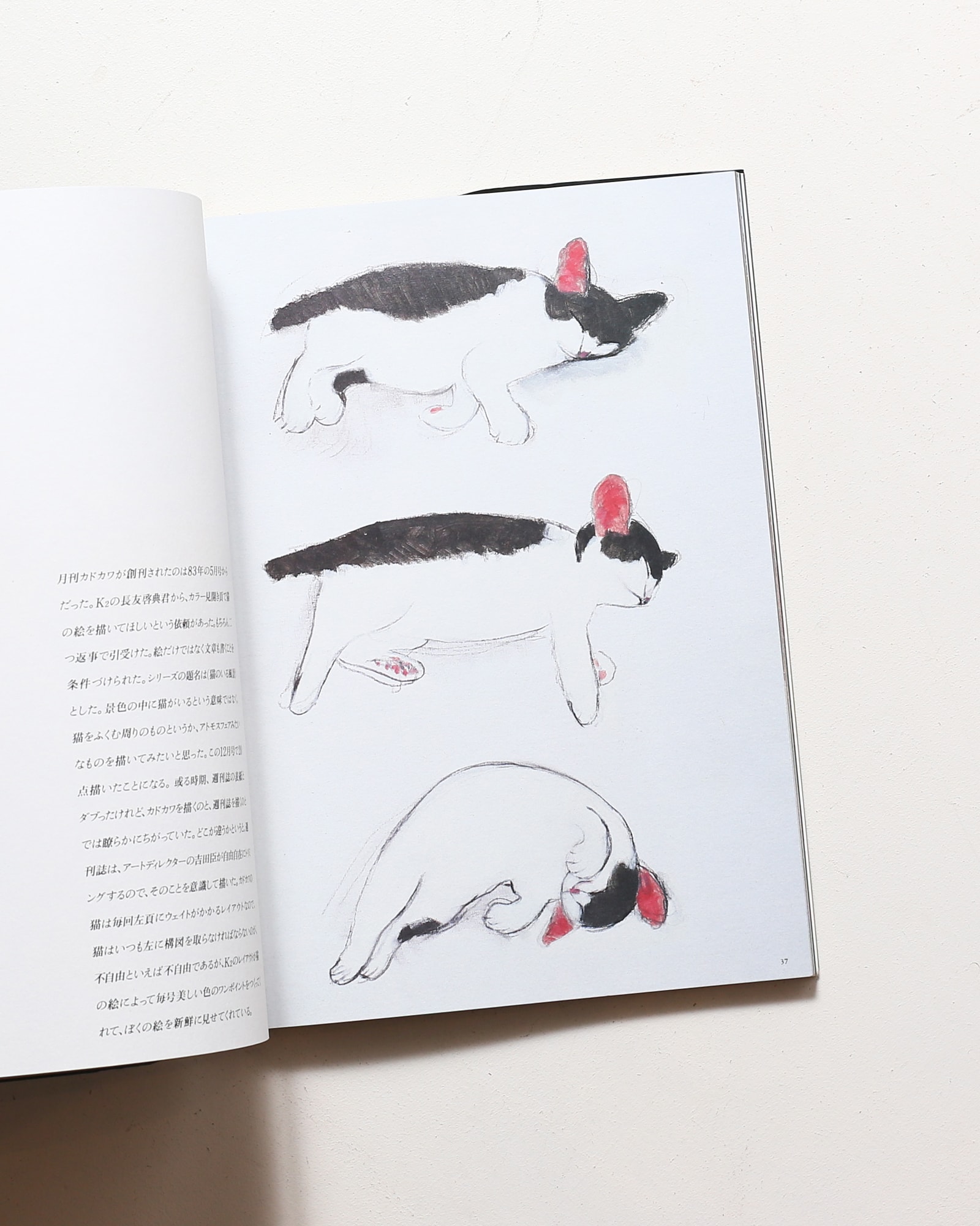 猫の肖像 | 山城隆一 | nostos books ノストスブックス