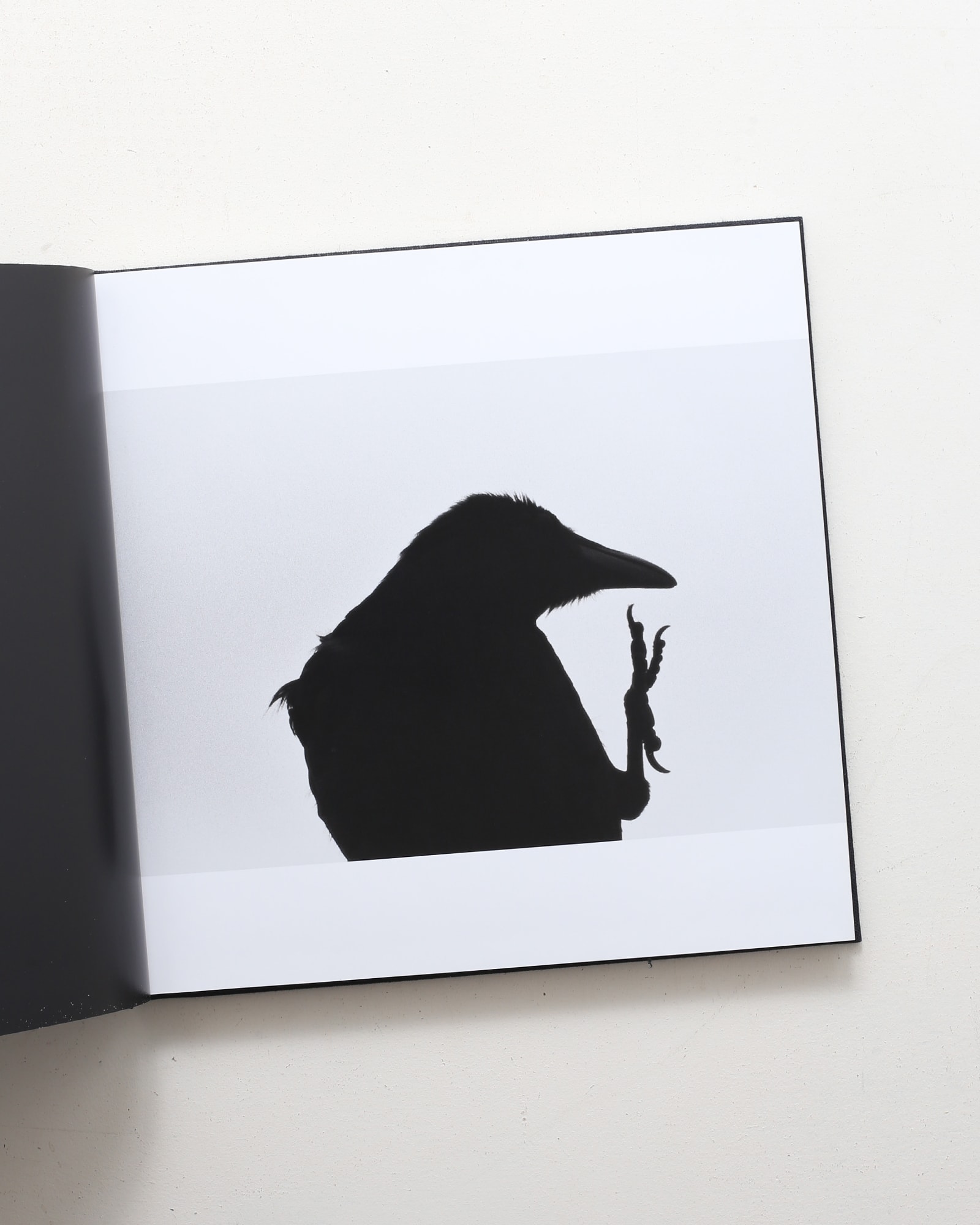 鴉 Ravens | 深瀬昌久 | nostos books ノストスブックス