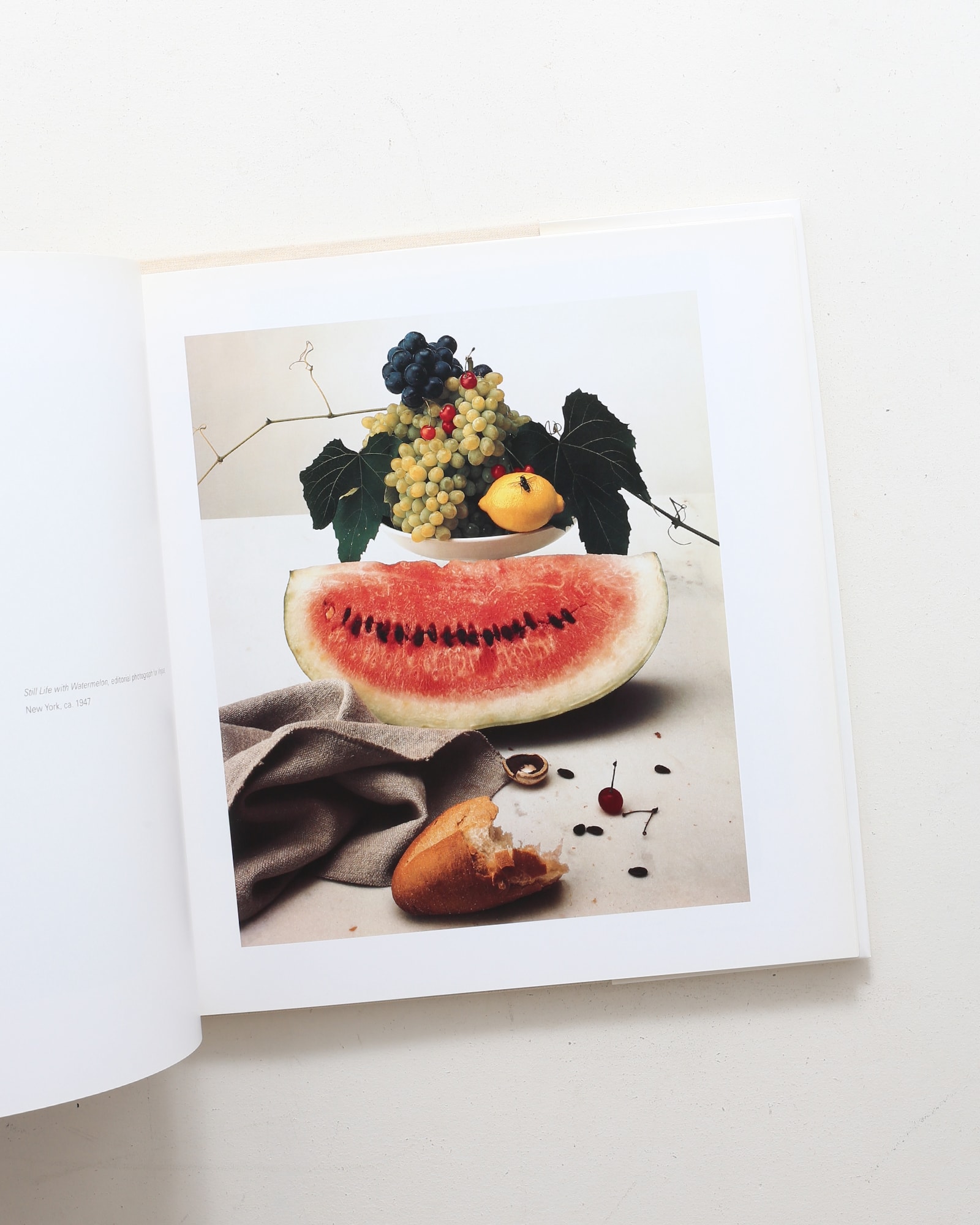Still Life | Irving Penn | nostos books ノストスブックス